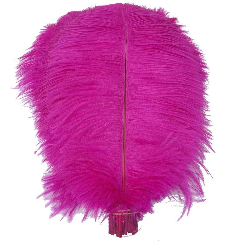 Shekyeon 16-18inch Fuchsia Ostrich Feathers DIY Craft Large Feather for Wedding Party Centerpicecs Flower Arrangement and Easter Gatsbi Decortion Pack of 10 - Image 1